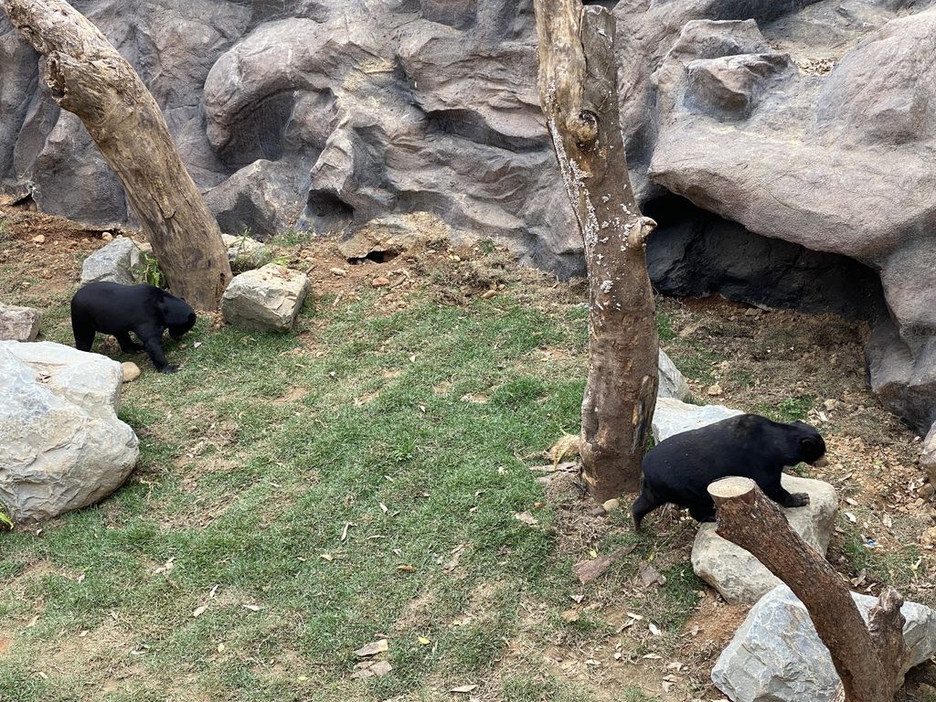 最老的動物園重生！新竹市立動物園，適合全家大小遊玩的新竹景點！