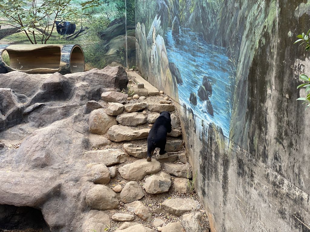 最老的動物園重生！新竹市立動物園，適合全家大小遊玩的新竹景點！