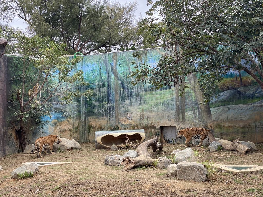 最老的動物園重生！新竹市立動物園，適合全家大小遊玩的新竹景點！