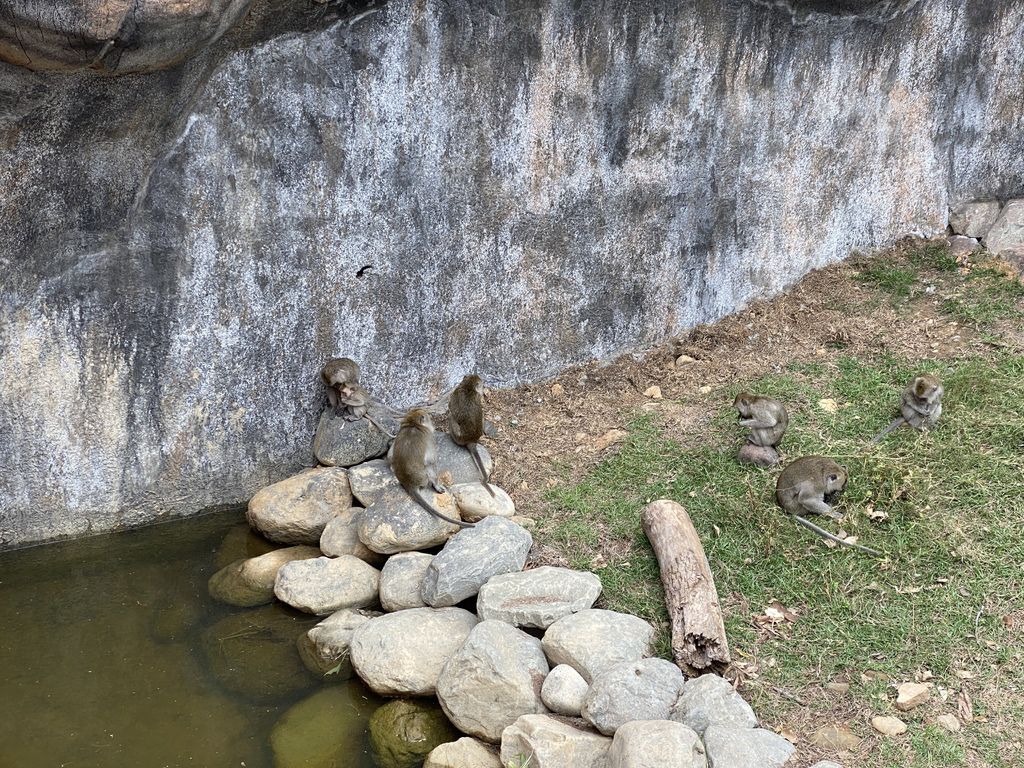 最老的動物園重生！新竹市立動物園，適合全家大小遊玩的新竹景點！