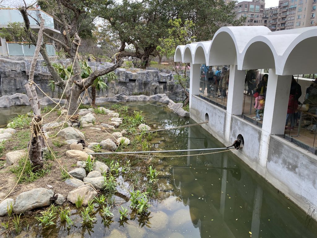 最老的動物園重生！新竹市立動物園，適合全家大小遊玩的新竹景點！