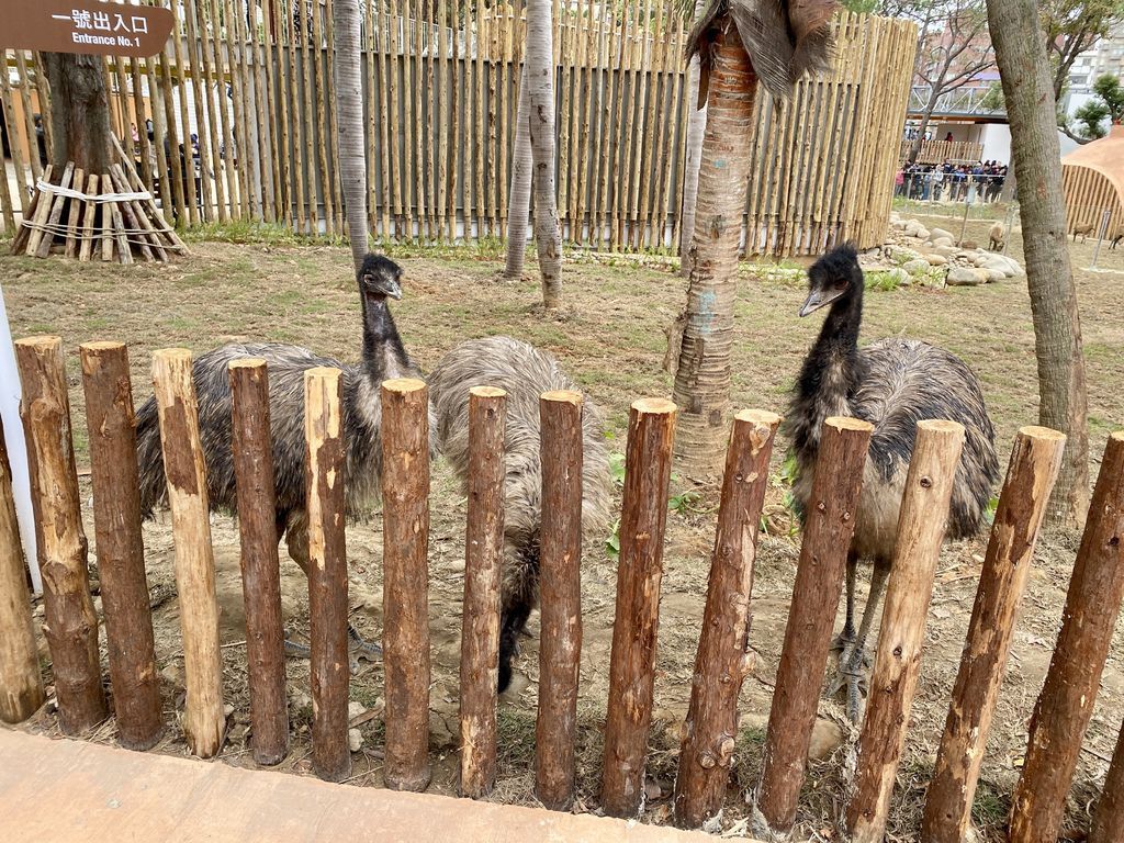 最老的動物園重生！新竹市立動物園，適合全家大小遊玩的新竹景點！