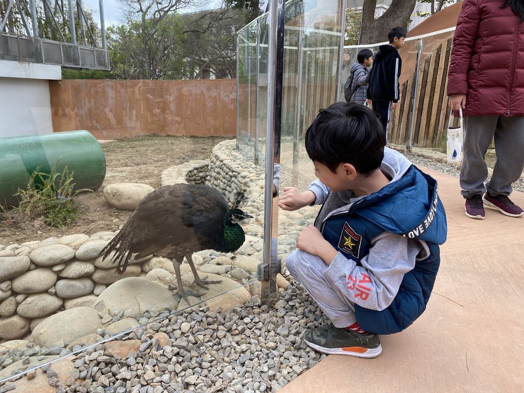 最老的動物園重生！新竹市立動物園，適合全家大小遊玩的新竹景點！