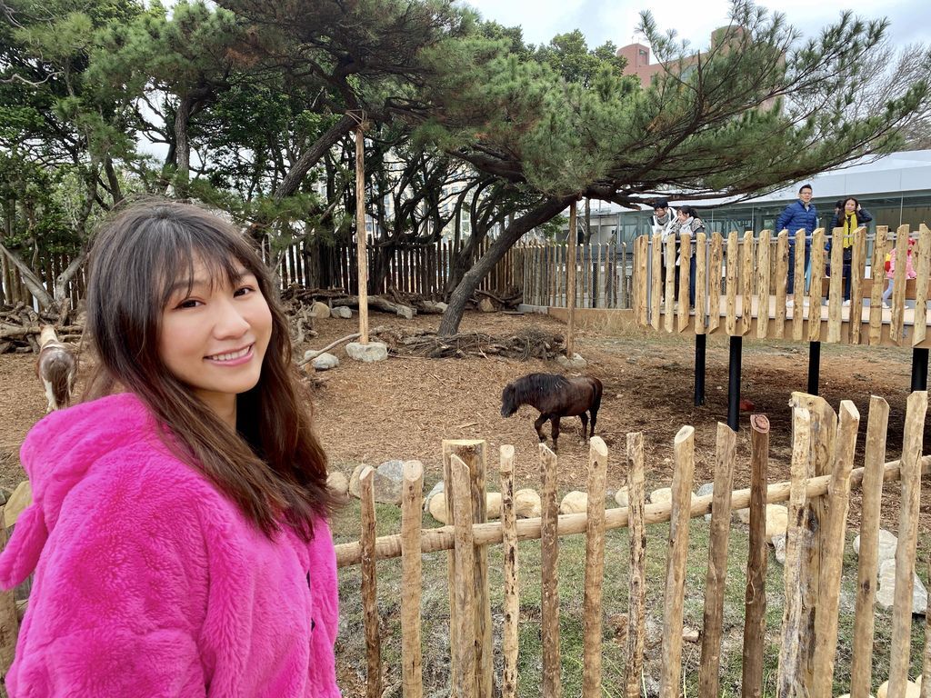 最老的動物園重生！新竹市立動物園，適合全家大小遊玩的新竹景點！