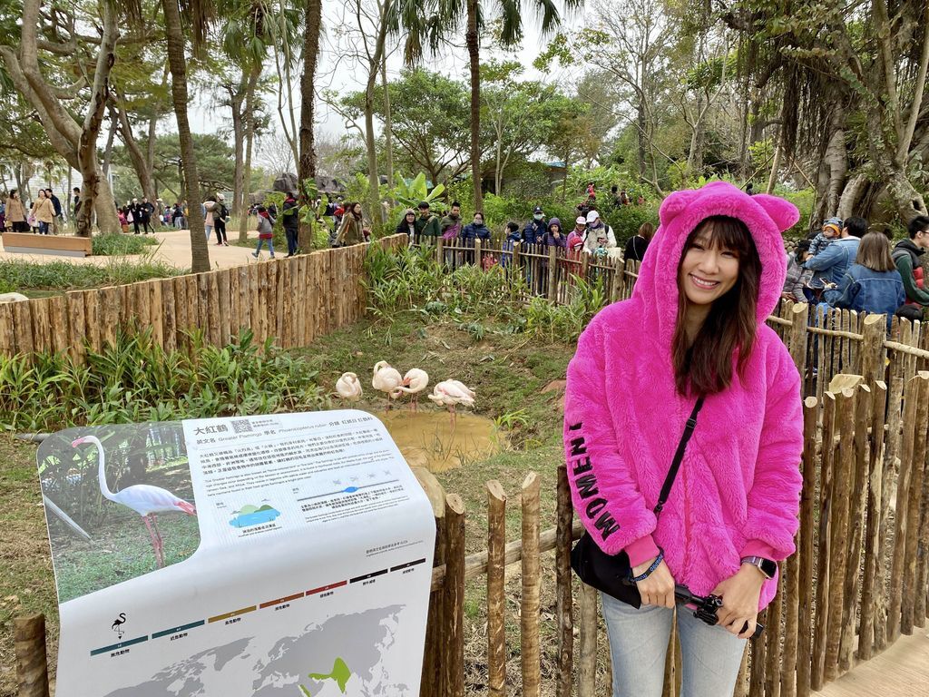 最老的動物園重生！新竹市立動物園，適合全家大小遊玩的新竹景點！