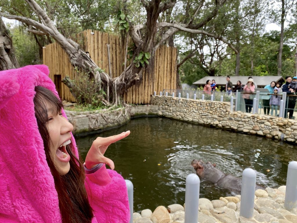 最老的動物園重生！新竹市立動物園，適合全家大小遊玩的新竹景點！