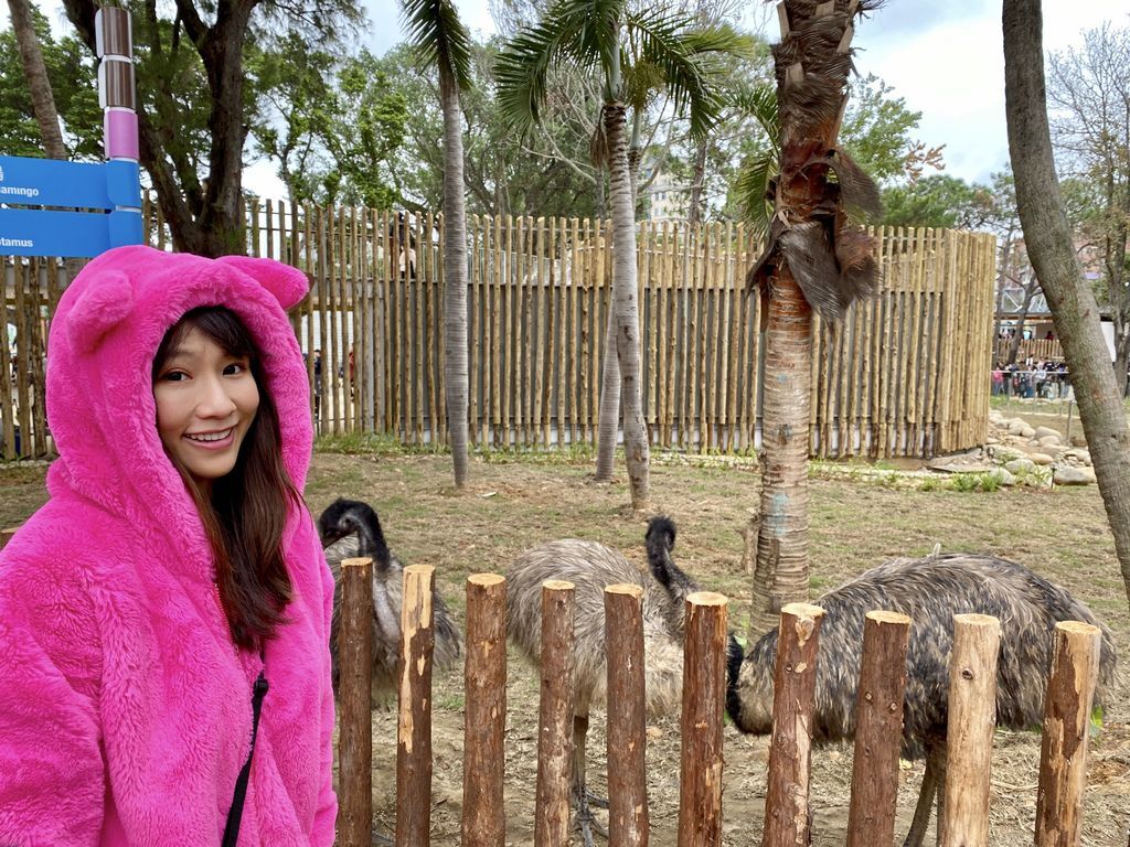 最老的動物園重生！新竹市立動物園，適合全家大小遊玩的新竹景點！