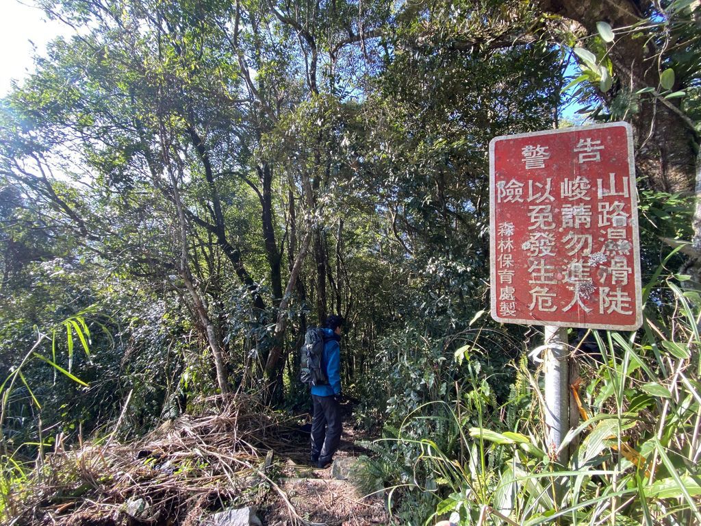 桃園景點-野溪溫泉的秘境,在夢幻七彩岩壁的四稜溫泉享受森林浴