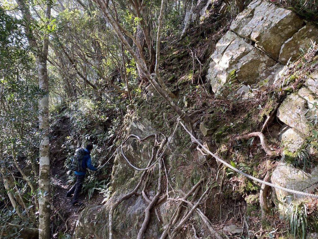 桃園景點-野溪溫泉的秘境,在夢幻七彩岩壁的四稜溫泉享受森林浴