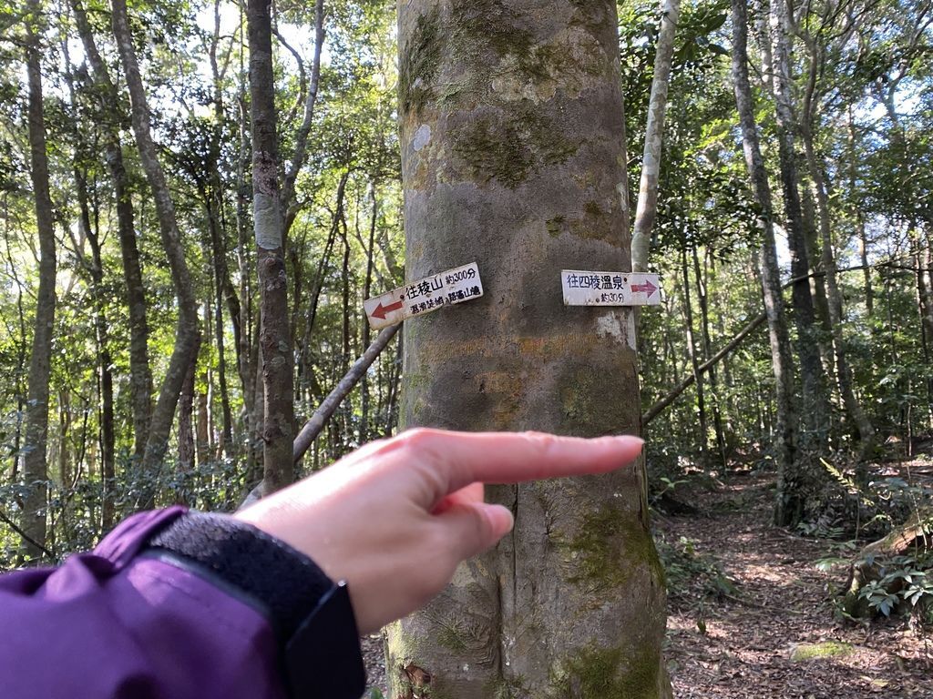 桃園景點-野溪溫泉的秘境,在夢幻七彩岩壁的四稜溫泉享受森林浴