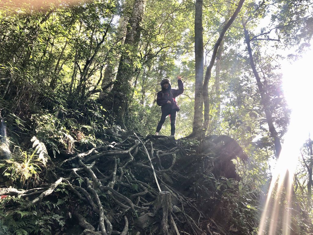 桃園景點-野溪溫泉的秘境,在夢幻七彩岩壁的四稜溫泉享受森林浴