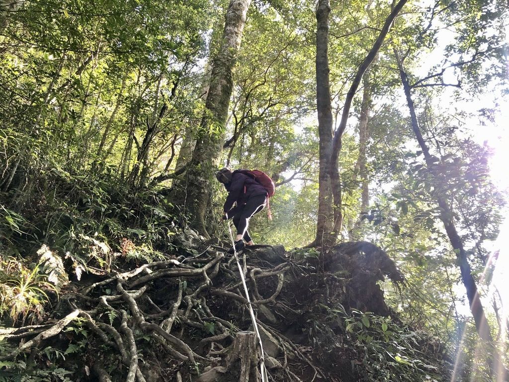 桃園景點-野溪溫泉的秘境,在夢幻七彩岩壁的四稜溫泉享受森林浴