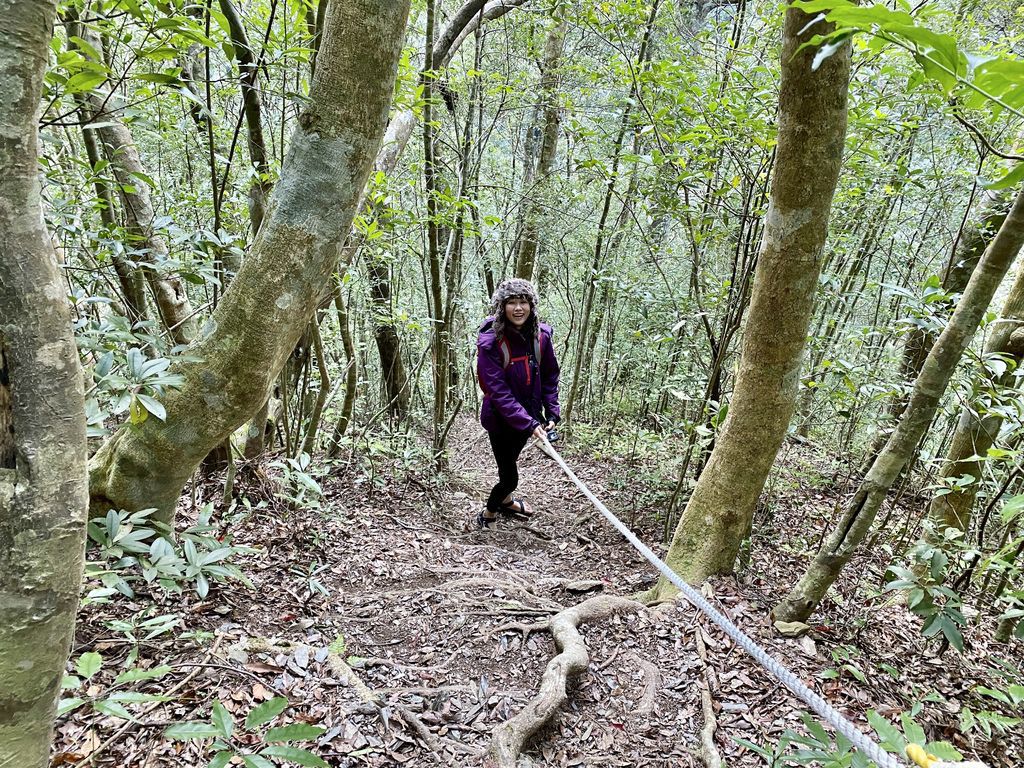 桃園景點-野溪溫泉的秘境,在夢幻七彩岩壁的四稜溫泉享受森林浴