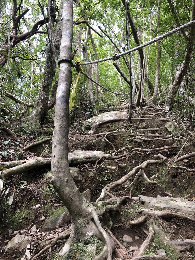 桃園景點-野溪溫泉的秘境,在夢幻七彩岩壁的四稜溫泉享受森林浴