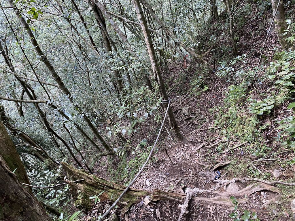 桃園景點-野溪溫泉的秘境,在夢幻七彩岩壁的四稜溫泉享受森林浴