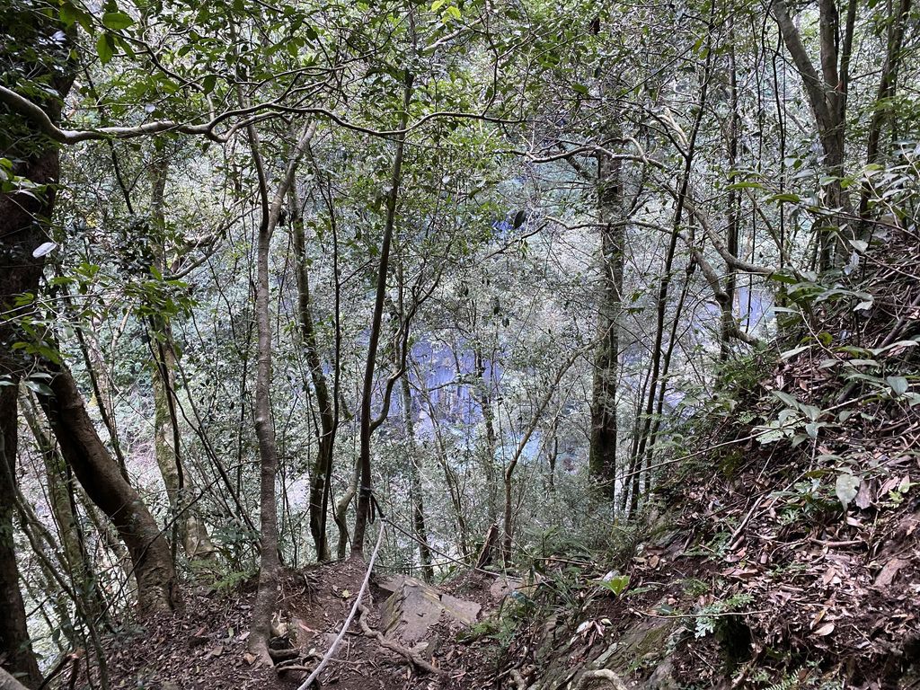 桃園景點-野溪溫泉的秘境,在夢幻七彩岩壁的四稜溫泉享受森林浴