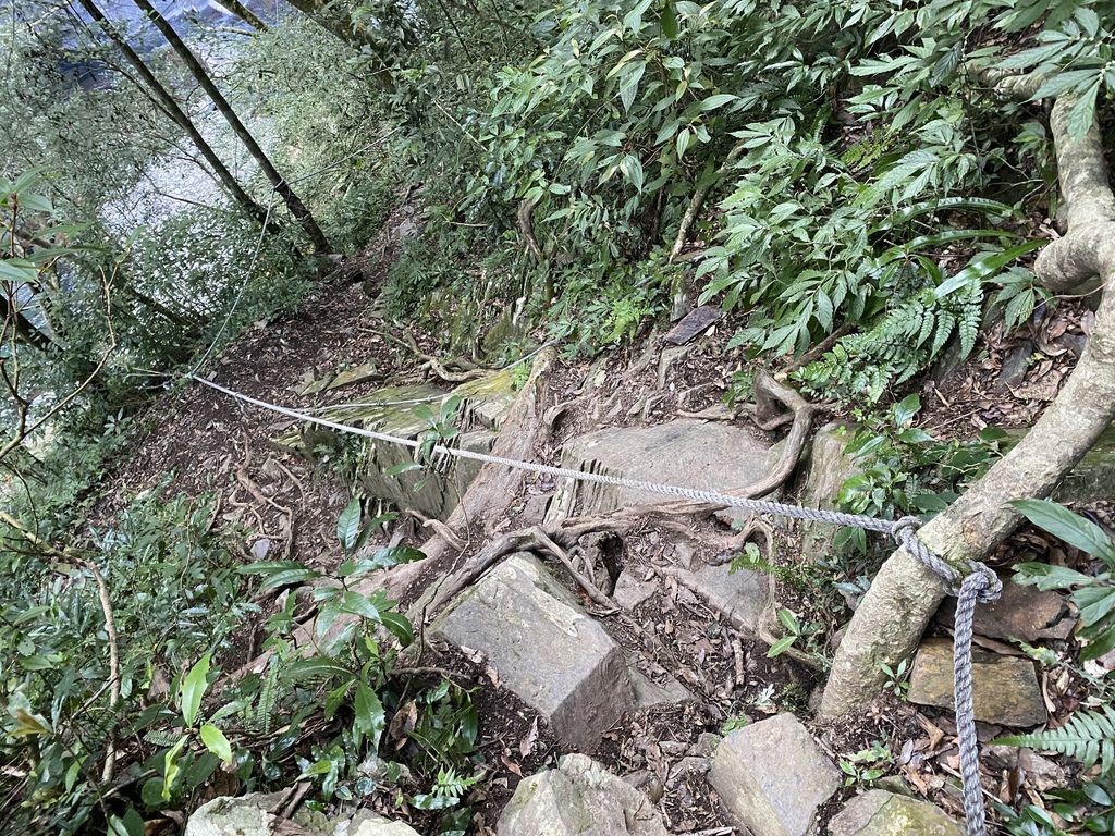 桃園景點-野溪溫泉的秘境,在夢幻七彩岩壁的四稜溫泉享受森林浴