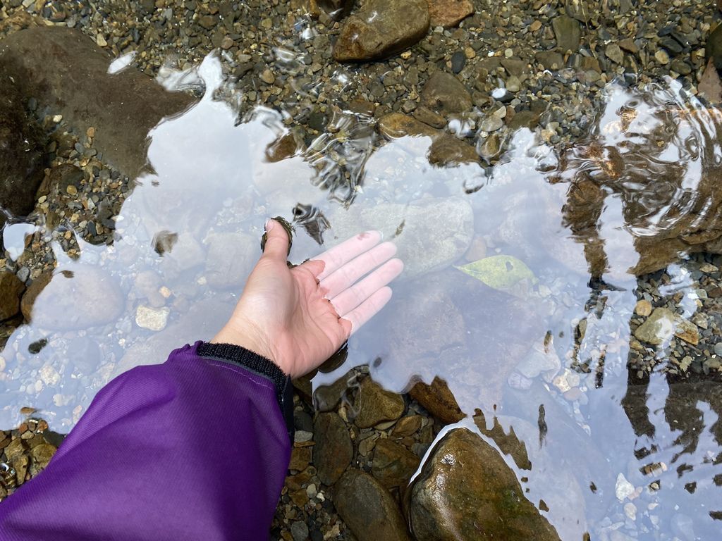 桃園景點-野溪溫泉的秘境,在夢幻七彩岩壁的四稜溫泉享受森林浴