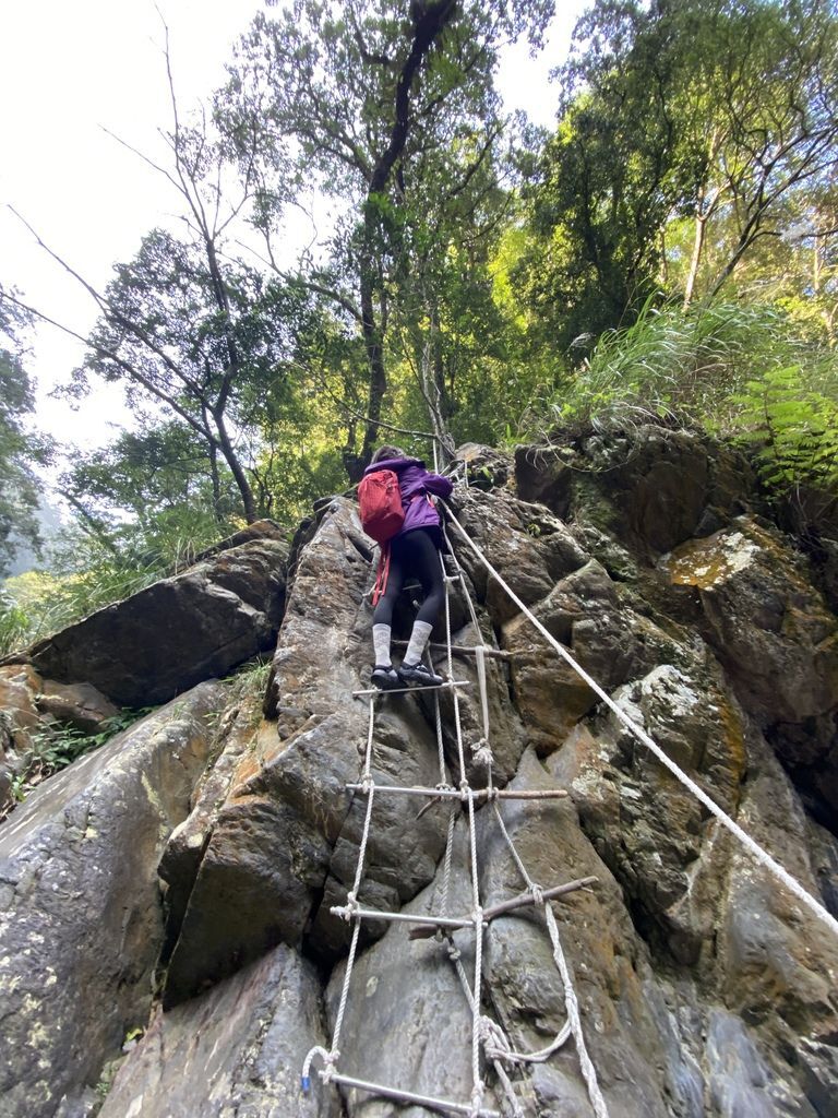 桃園景點-野溪溫泉的秘境,在夢幻七彩岩壁的四稜溫泉享受森林浴