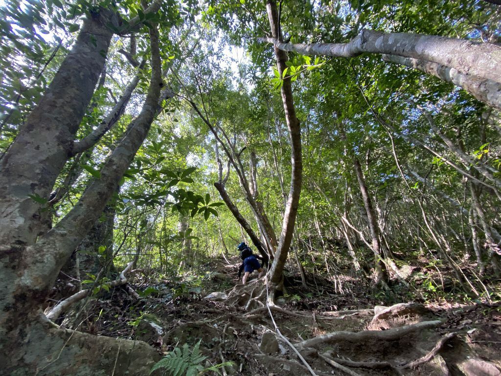 桃園景點-野溪溫泉的秘境,在夢幻七彩岩壁的四稜溫泉享受森林浴