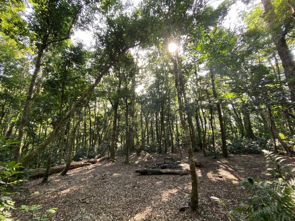 桃園景點-野溪溫泉的秘境,在夢幻七彩岩壁的四稜溫泉享受森林浴