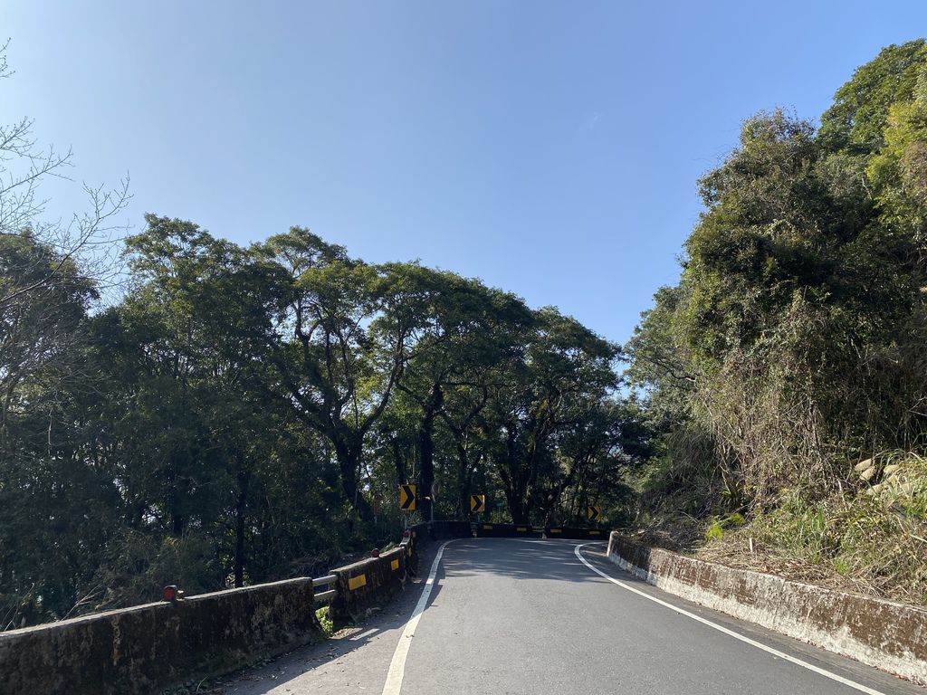 桃園景點-野溪溫泉的秘境,在夢幻七彩岩壁的四稜溫泉享受森林浴