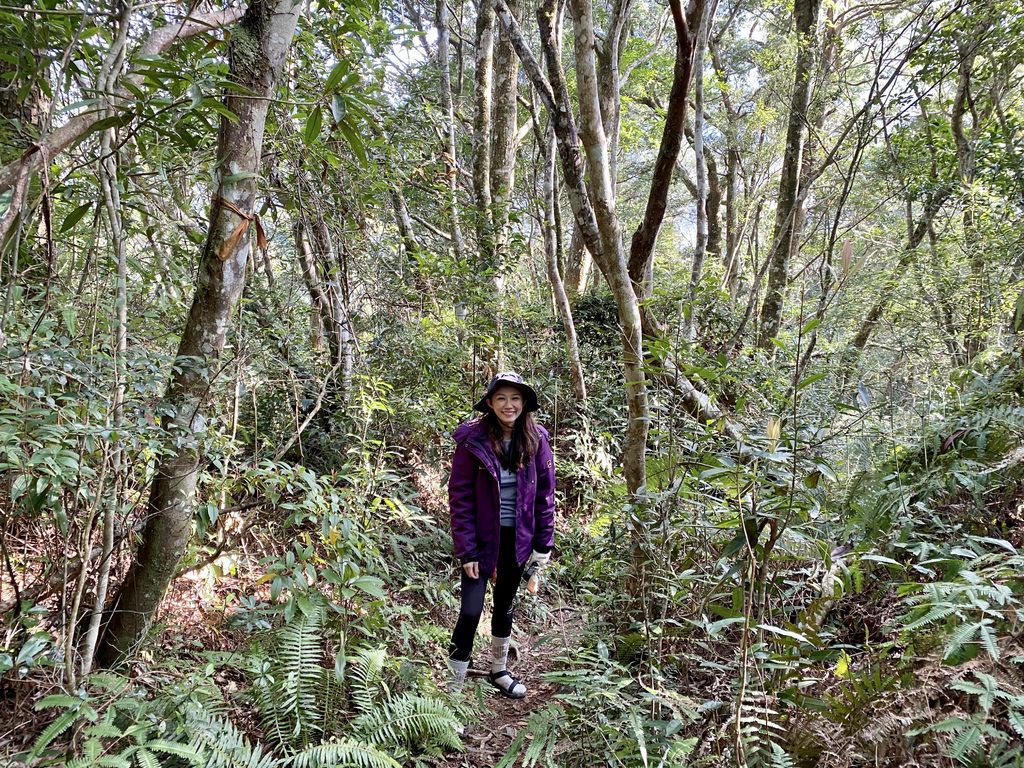 桃園景點-野溪溫泉的秘境,在夢幻七彩岩壁的四稜溫泉享受森林浴