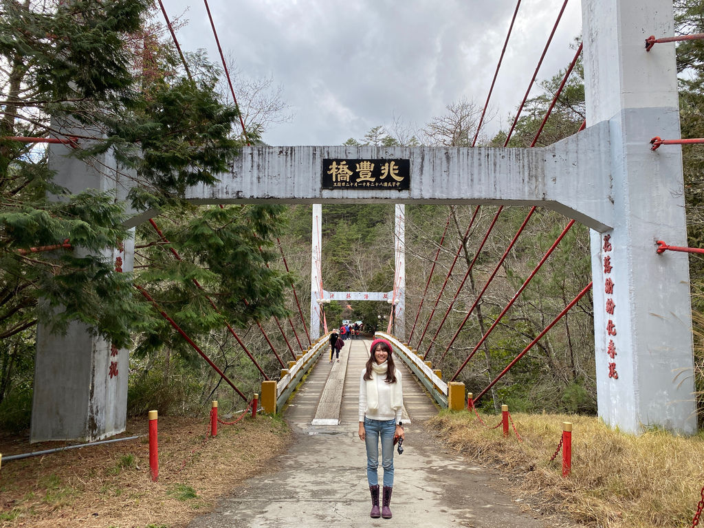 2021櫻花季!武陵農場櫻花季，全台最佳賞櫻勝地，來看粉紅香水櫻【丁小羽旅遊篇】