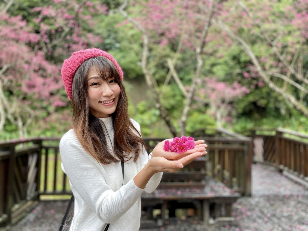 2021櫻花季!宜蘭賞櫻祕境!台七甲八重櫻花林的櫻緣青邨【丁小羽旅遊篇】 2021櫻花季!宜蘭賞櫻祕境!台七甲八重櫻花林的櫻緣青邨【丁小羽旅遊篇】