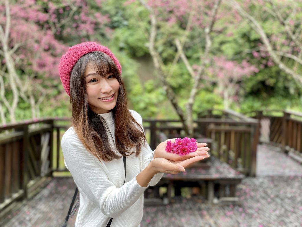 2021櫻花季!宜蘭賞櫻祕境!台七甲八重櫻花林的櫻緣青邨【丁小羽旅遊篇】 2021櫻花季!宜蘭賞櫻祕境!台七甲八重櫻花林的櫻緣青邨【丁小羽旅遊篇】