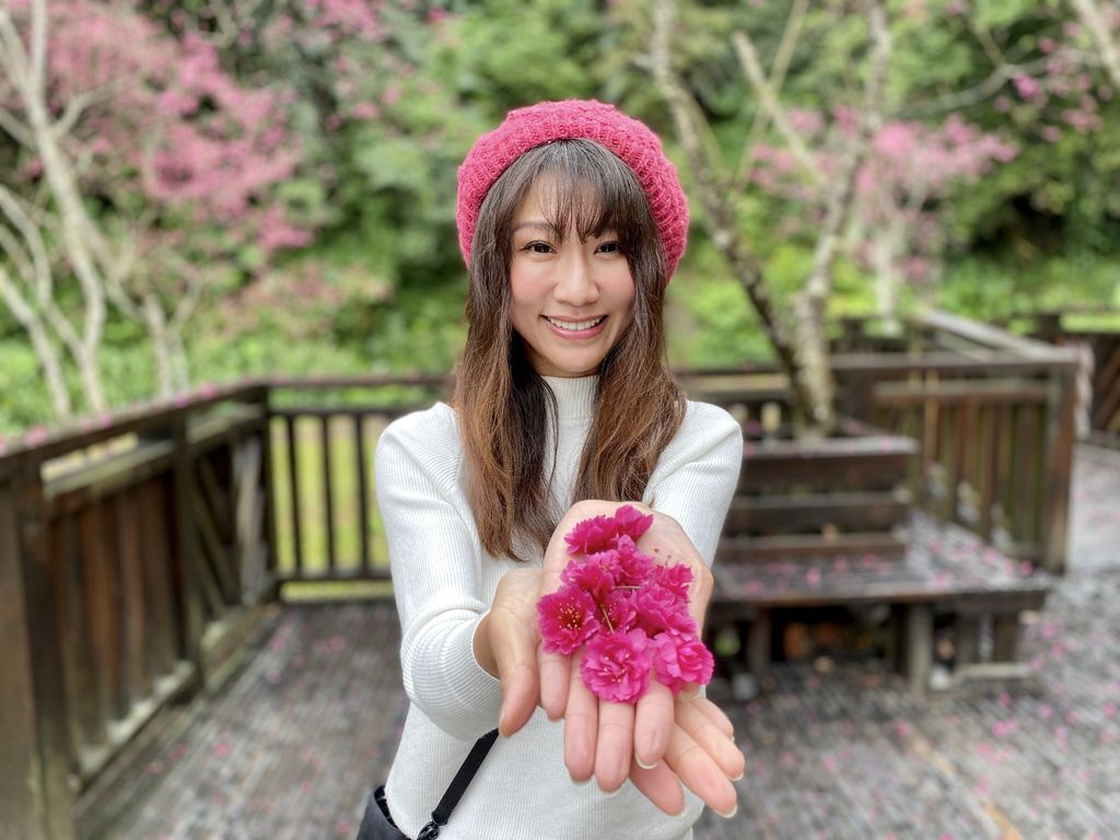 2021櫻花季!宜蘭賞櫻祕境!台七甲八重櫻花林的櫻緣青邨【丁小羽旅遊篇】 2021櫻花季!宜蘭賞櫻祕境!台七甲八重櫻花林的櫻緣青邨【丁小羽旅遊篇】