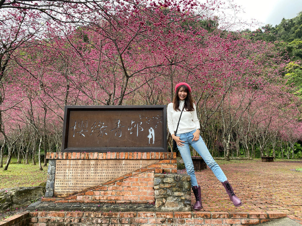 2021櫻花季!宜蘭賞櫻祕境!台七甲八重櫻花林的櫻緣青邨【丁小羽旅遊篇】 2021櫻花季!宜蘭賞櫻祕境!台七甲八重櫻花林的櫻緣青邨【丁小羽旅遊篇】