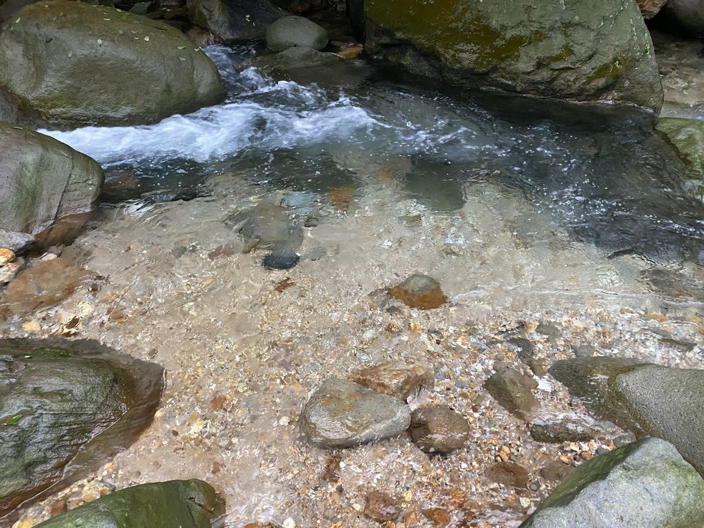 隱藏在陽明山的台北野溪溫泉，一起到下七股溫泉泡超美牛奶湯