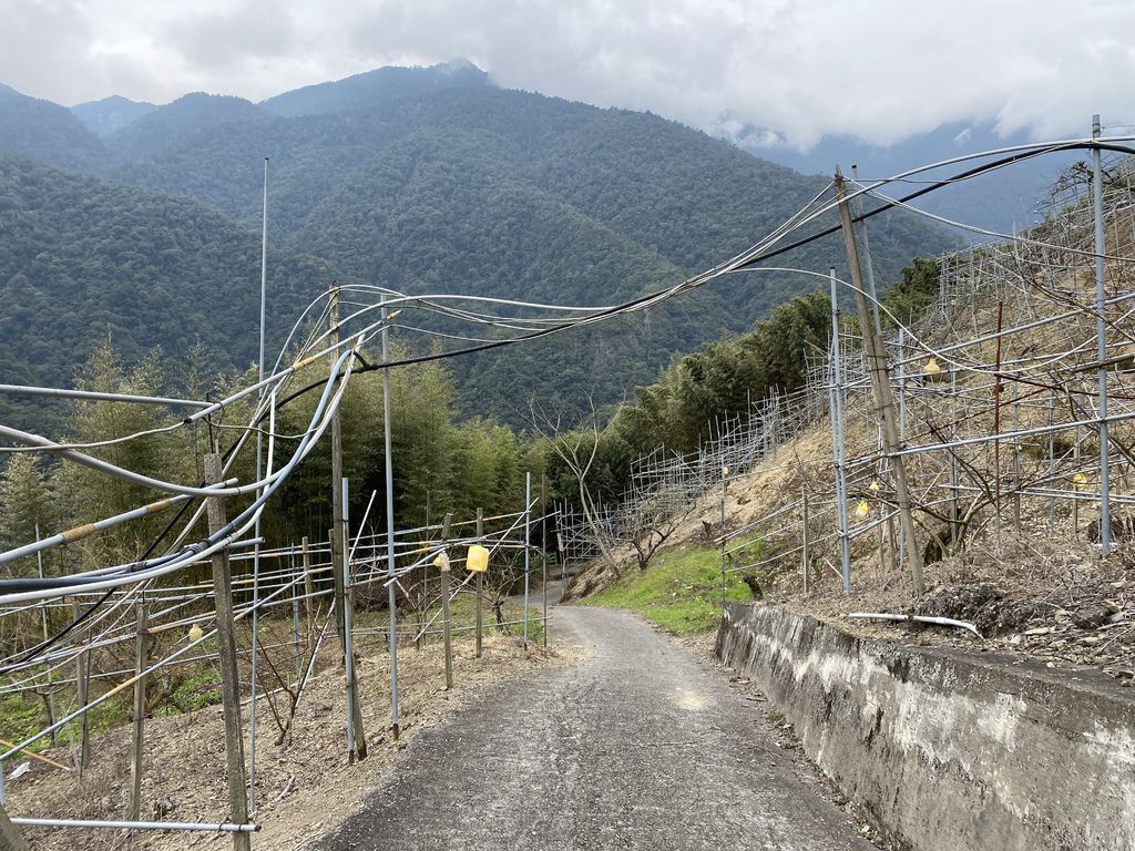 桃園野溪溫泉-在嘎拉賀溫泉泡湯,享受大自然的SPA溫泉瀑布