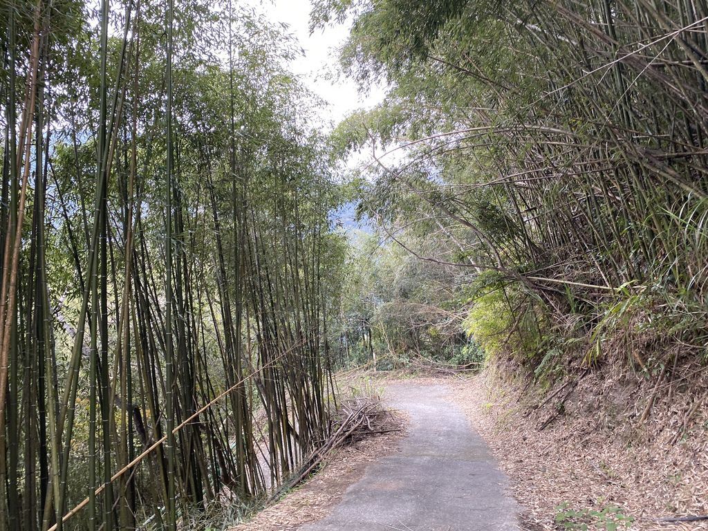 桃園野溪溫泉-在嘎拉賀溫泉泡湯,享受大自然的SPA溫泉瀑布