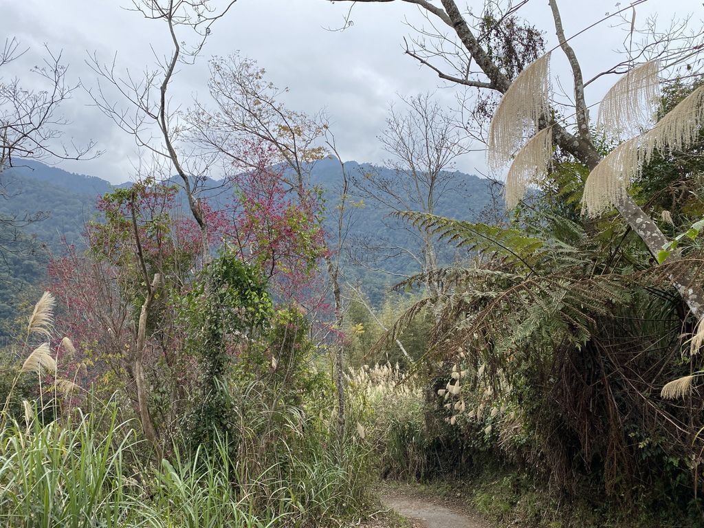 桃園野溪溫泉-在嘎拉賀溫泉泡湯,享受大自然的SPA溫泉瀑布