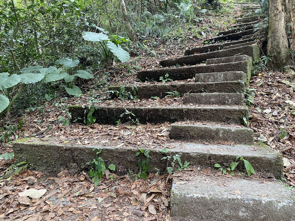 桃園野溪溫泉-在嘎拉賀溫泉泡湯，享受大自然的SPA溫泉瀑布