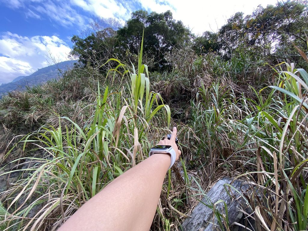 隱藏版的南投野溪溫泉，一起到充滿鐵質的精英2號溫泉泡湯