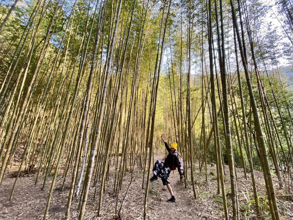 新竹野溪溫泉-隱藏在山林中的露天包廂，在泰崗溫泉泡湯