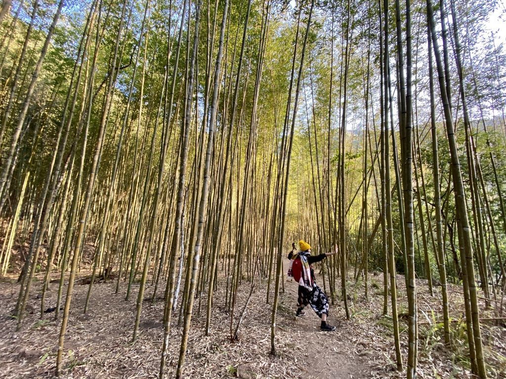 新竹野溪溫泉-隱藏在山林中的露天包廂，在泰崗溫泉泡湯