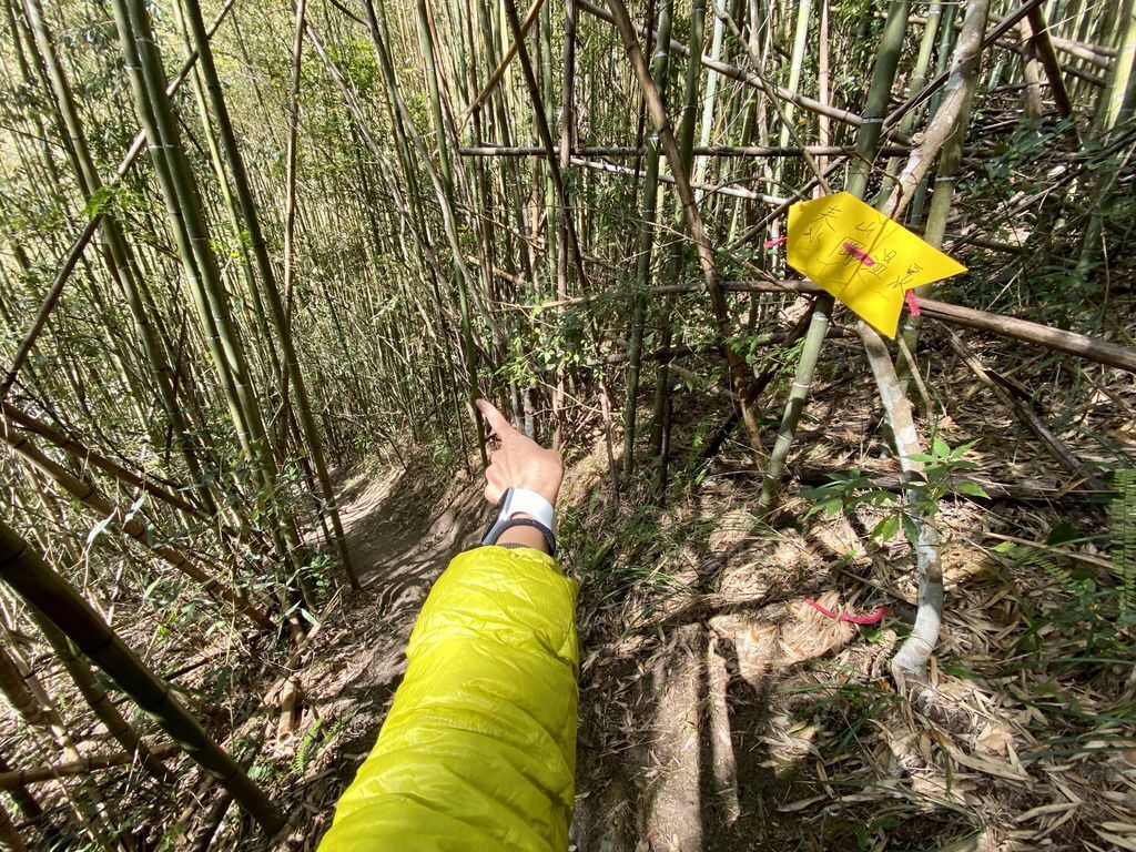 新竹野溪溫泉-隱藏在山林中的露天包廂，在泰崗溫泉泡湯