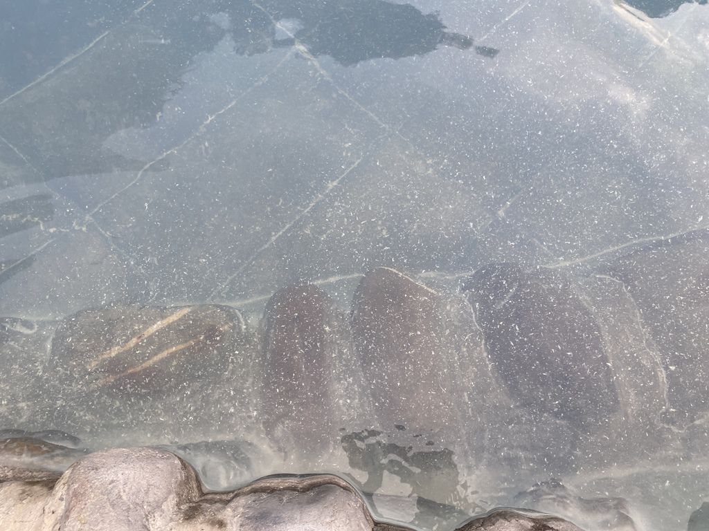 宜蘭太平山的鳩之澤溫泉是你到宜蘭泡湯的好地點!必去一次的宜蘭景點 宜蘭太平山的鳩之澤溫泉是你到宜蘭泡湯的好地點!必去一次的宜蘭景點