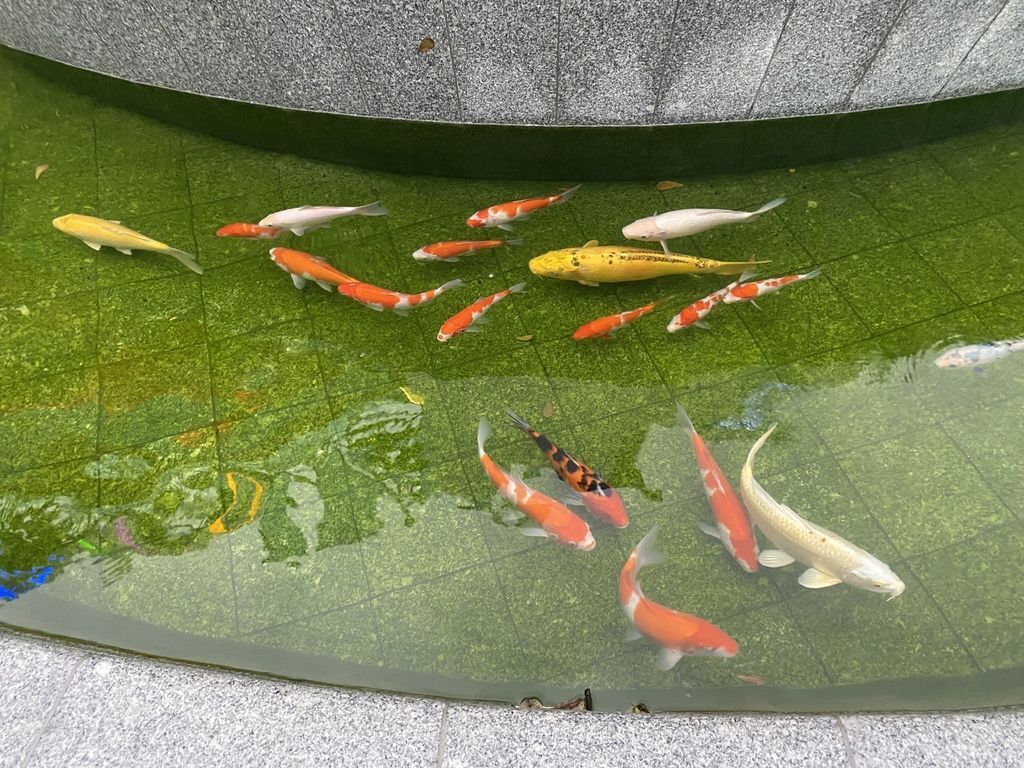 結合購物、美食、生活的桃園景點-中壢大江國際購物中心 結合購物、美食、生活的桃園景點-中壢大江國際購物中心