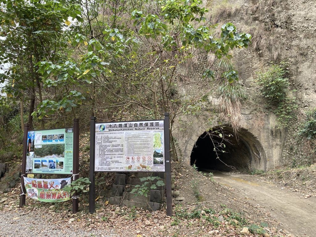 高雄六龜景點-十八羅漢山自然保護區，進入六號隧道來趟生態之旅