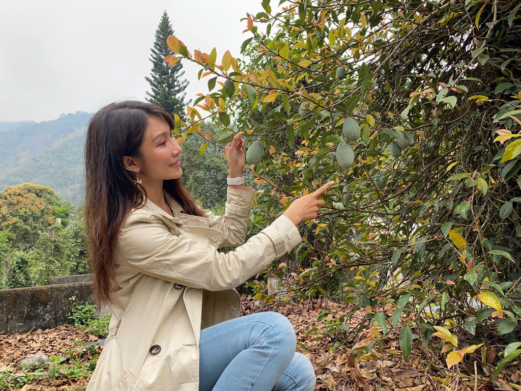 南橫公路美食停靠站！一來嚐嚐位於高雄桃源區的高山愛玉冰