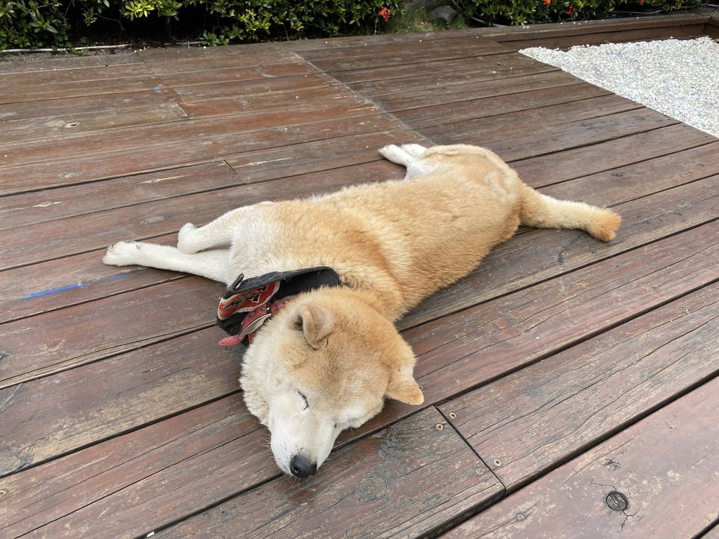 高雄六龜住宿-美崙山溫泉渡假山莊的公設有哪些?這篇告訴你 高雄六龜住宿-美崙山溫泉渡假山莊的公設有哪些?這篇告訴你