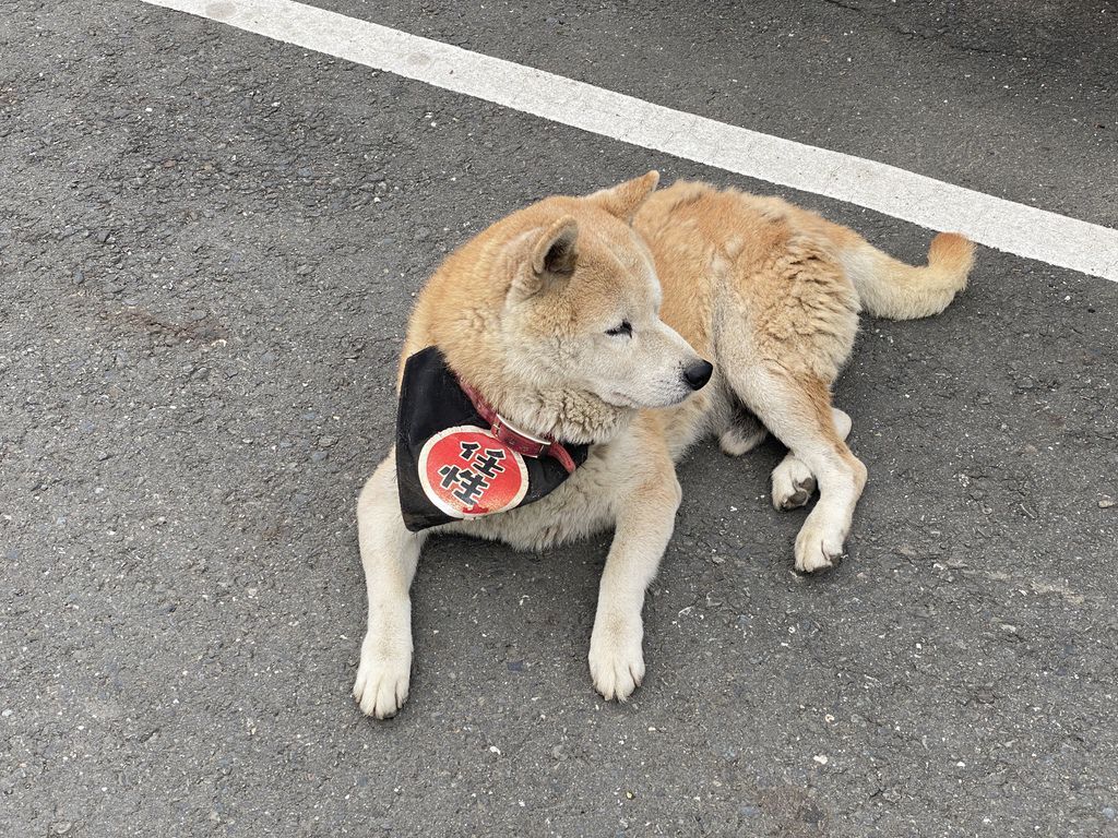 高雄六龜住宿-美崙山溫泉渡假山莊的公設有哪些?這篇告訴你 高雄六龜住宿-美崙山溫泉渡假山莊的公設有哪些?這篇告訴你