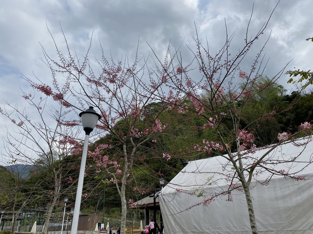 高雄六龜景點-在寶來溫泉區的寶來花賞溫泉公園享受泡湯的好滋味