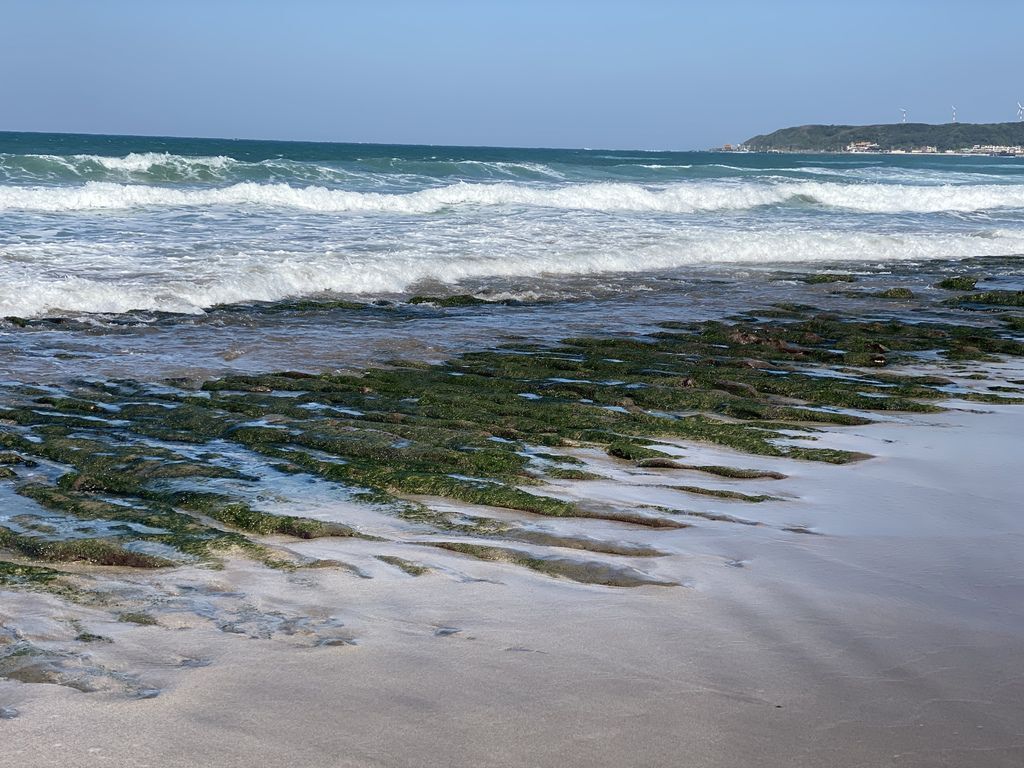 富貴角公園的老梅綠石槽,天然的綠色地毯!石門一日遊的好去處 富貴角公園的老梅綠石槽,天然的綠色地毯!石門一日遊的好去處