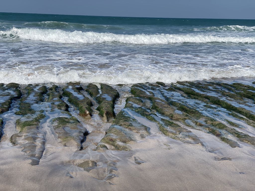 富貴角公園的老梅綠石槽,天然的綠色地毯!石門一日遊的好去處 富貴角公園的老梅綠石槽,天然的綠色地毯!石門一日遊的好去處